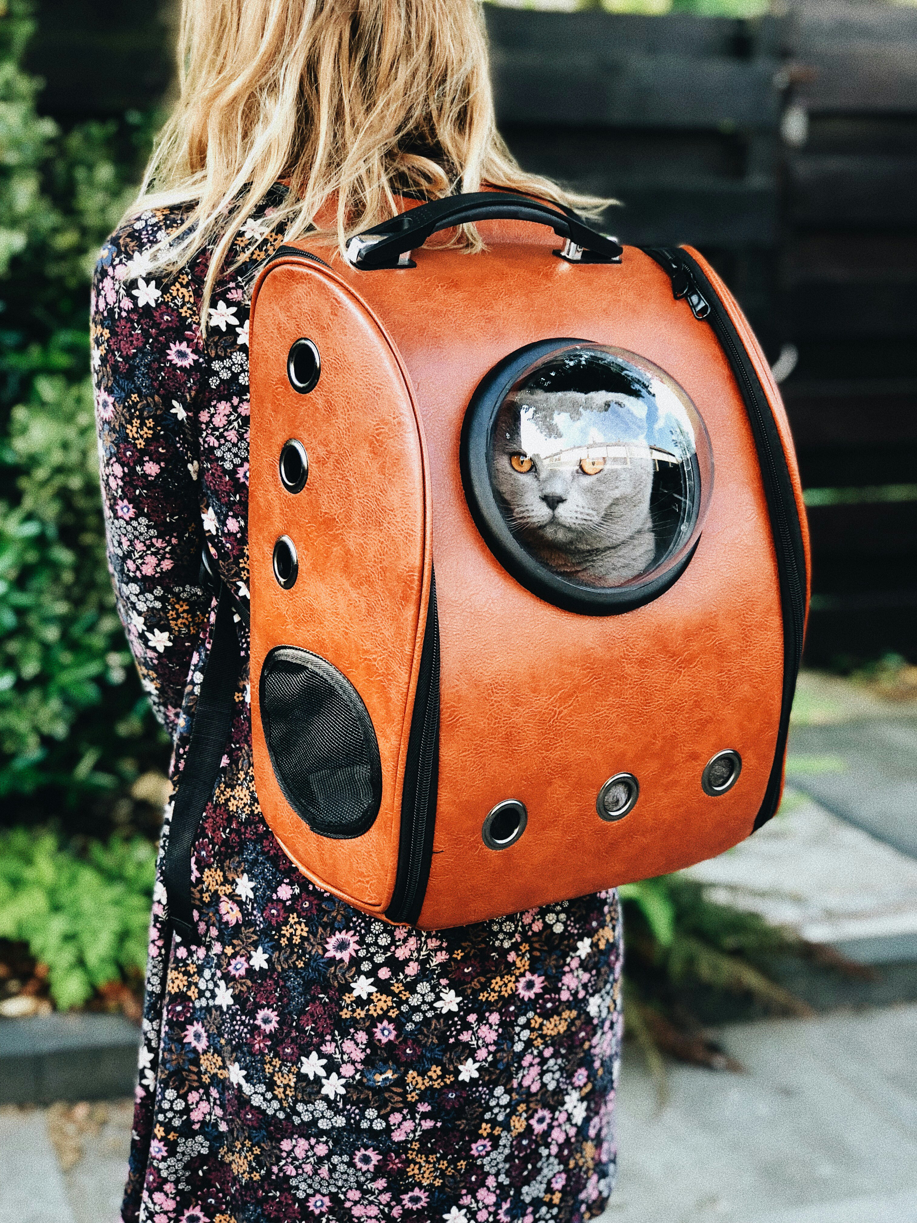 woman carrying pet carrier while standing near green plant
